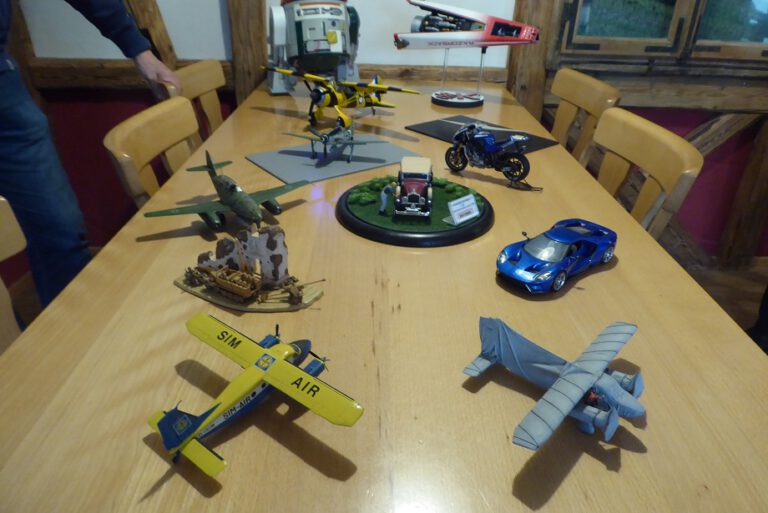 SIM-Treffen im Februar